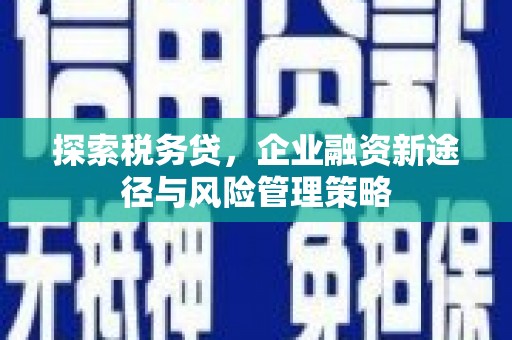 石家庄探索税务贷，企业融资新途径与风险管理策略