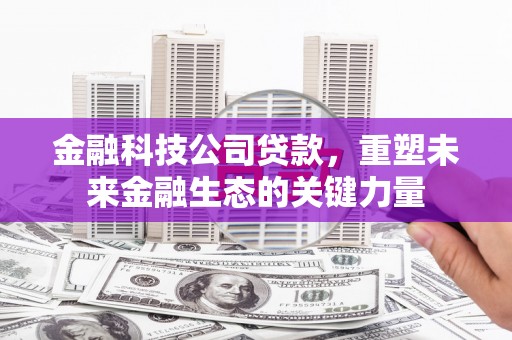 石家庄金融科技公司贷款，重塑未来金融生态的关键力量