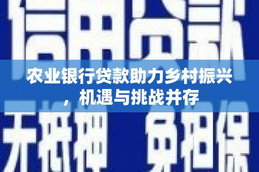石家庄农业银行贷款助力乡村振兴，机遇与挑战并存