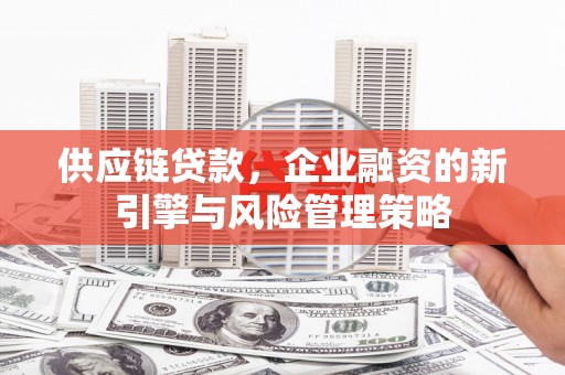 石家庄供应链贷款，企业融资的新引擎与风险管理策略