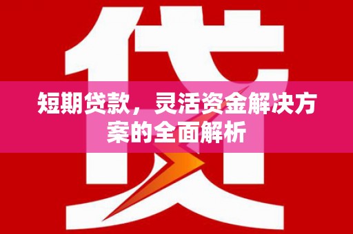 石家庄短期贷款，灵活资金解决方案的全面解析
