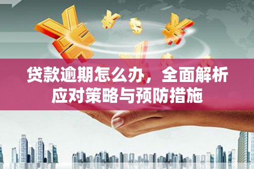 石家庄贷款逾期怎么办，全面解析应对策略与预防措施