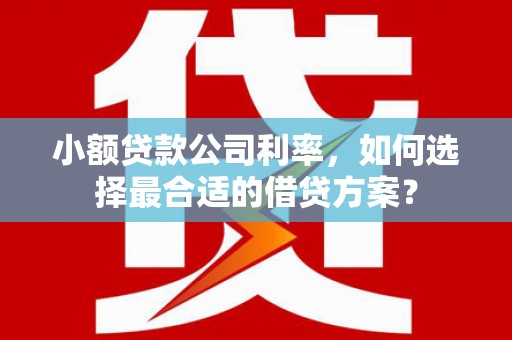 石家庄小额贷款公司利率，如何选择最合适的借贷方案？