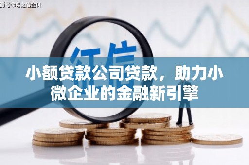 石家庄小额贷款公司贷款，助力小微企业的金融新引擎
