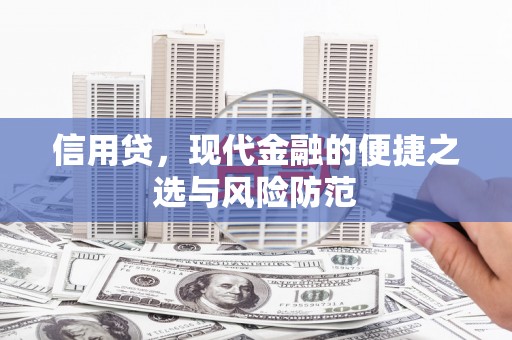 石家庄信用贷，现代金融的便捷之选与风险防范