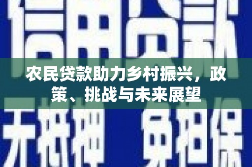 石家庄农民贷款助力乡村振兴，政策、挑战与未来展望