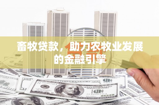 石家庄畜牧贷款，助力农牧业发展的金融引擎