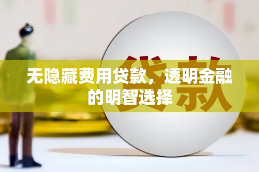 石家庄无隐藏费用贷款，透明金融的明智选择