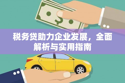 石家庄税务贷助力企业发展，全面解析与实用指南
