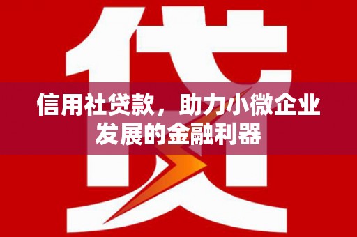 石家庄信用社贷款，助力小微企业发展的金融利器