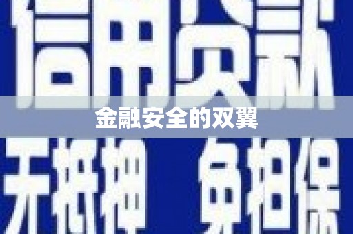 石家庄金融安全的双翼