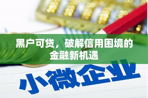 石家庄黑户可贷，破解信用困境的金融新机遇