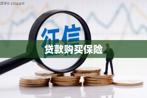 石家庄贷款购买保险