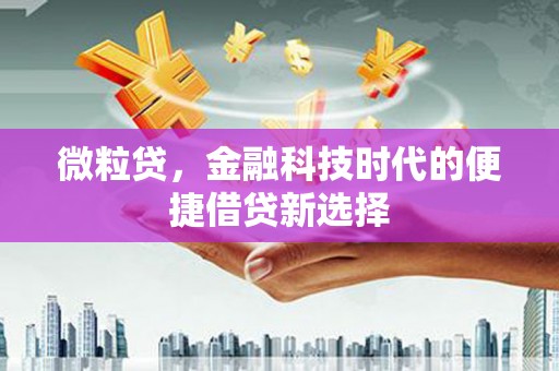 石家庄微粒贷，金融科技时代的便捷借贷新选择