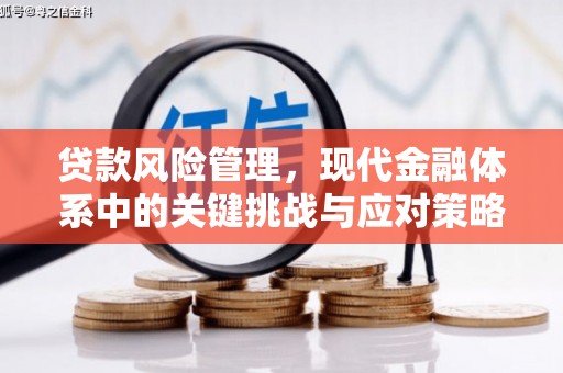 石家庄贷款风险管理，现代金融体系中的关键挑战与应对策略