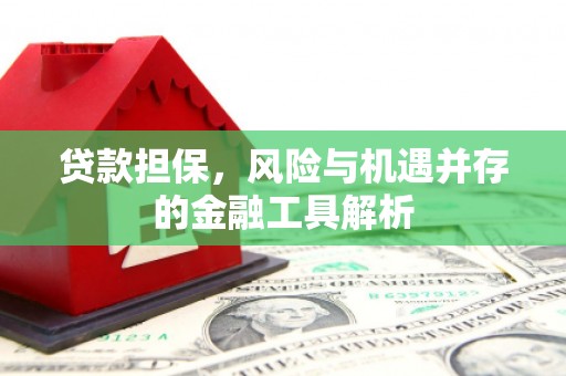 石家庄贷款担保，风险与机遇并存的金融工具解析