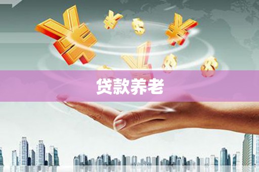 石家庄贷款养老