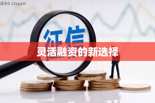 石家庄灵活融资的新选择