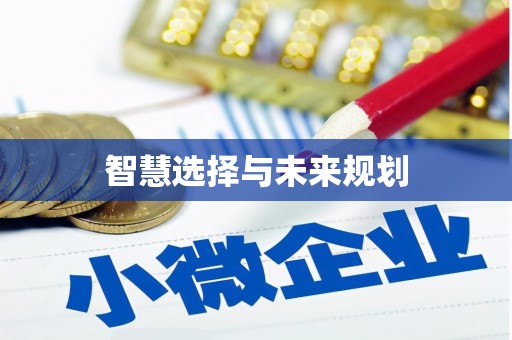 石家庄智慧选择与未来规划
