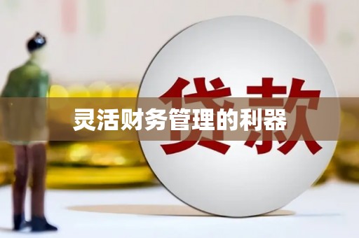 石家庄灵活财务管理的利器