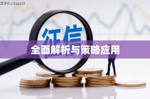 石家庄全面解析与策略应用