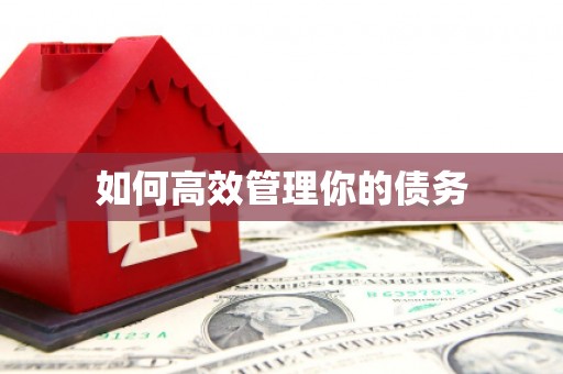 石家庄如何高效管理你的债务