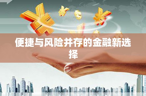 石家庄便捷与风险并存的金融新选择