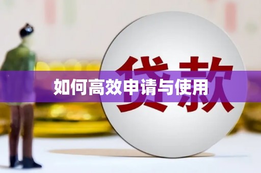 石家庄如何高效申请与使用