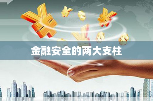 石家庄金融安全的两大支柱