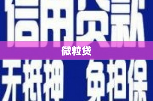 石家庄微粒贷