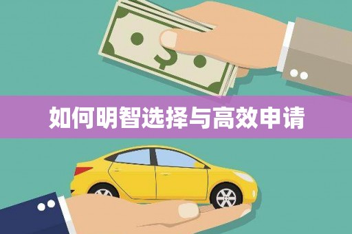 石家庄如何明智选择与高效申请
