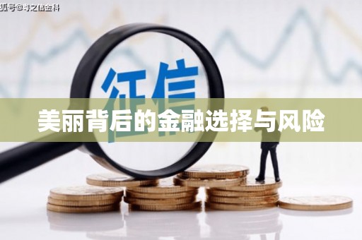 石家庄美丽背后的金融选择与风险