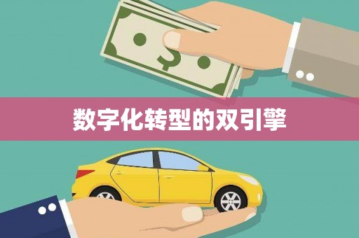 石家庄数字化转型的双引擎