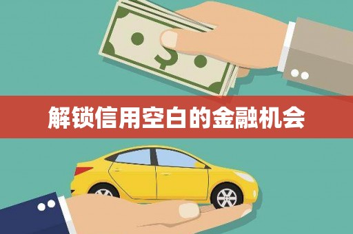 石家庄解锁信用空白的金融机会