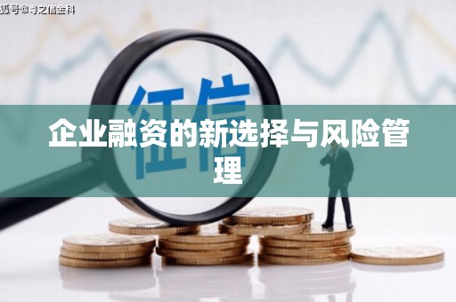 石家庄企业融资的新选择与风险管理