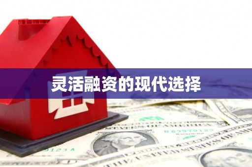 石家庄灵活融资的现代选择