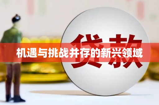 石家庄机遇与挑战并存的新兴领域