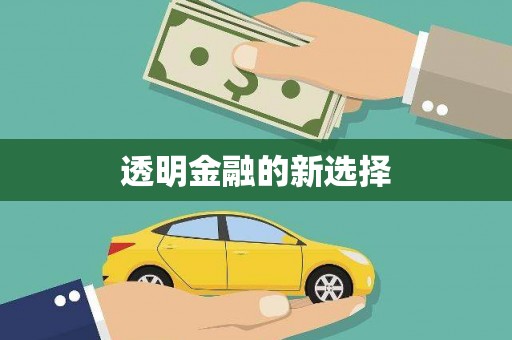 石家庄透明金融的新选择