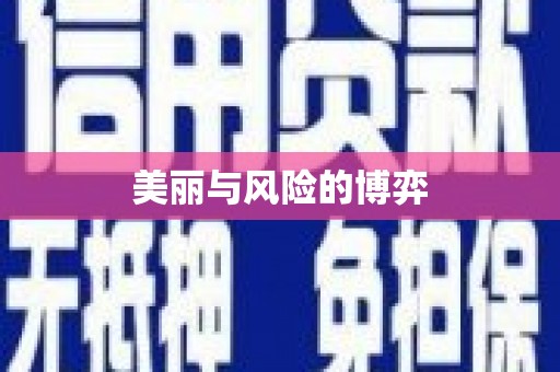 石家庄美丽与风险的博弈