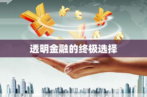 石家庄透明金融的终极选择