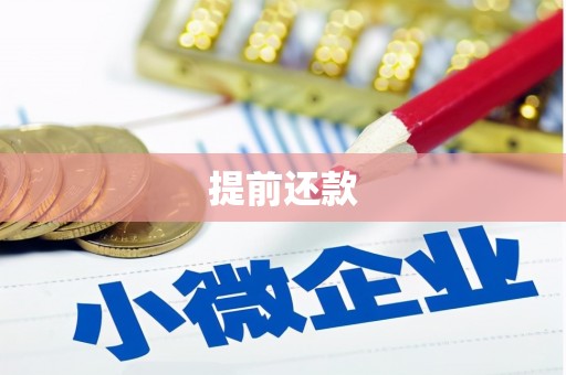 石家庄提前还款