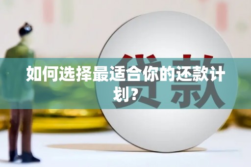 石家庄如何选择最适合你的还款计划？