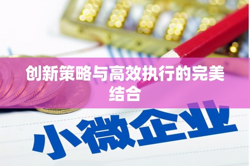 石家庄创新策略与高效执行的完美结合
