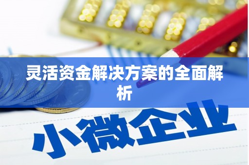 石家庄灵活资金解决方案的全面解析