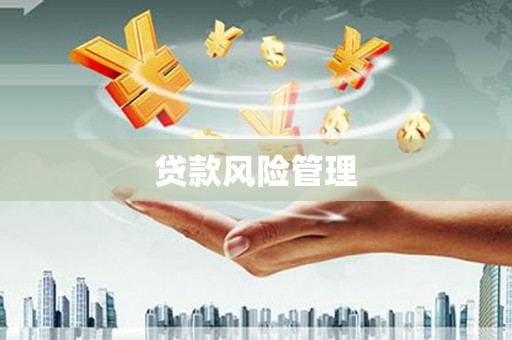 石家庄贷款风险管理