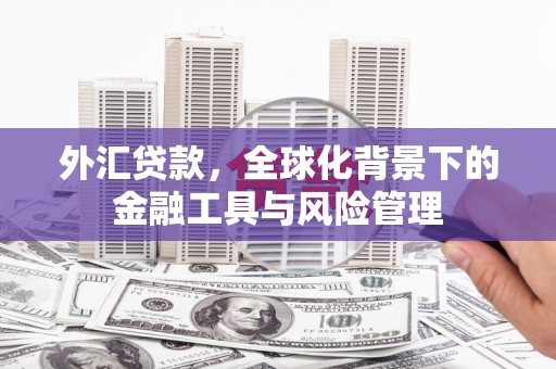 石家庄外汇贷款，全球化背景下的金融工具与风险管理