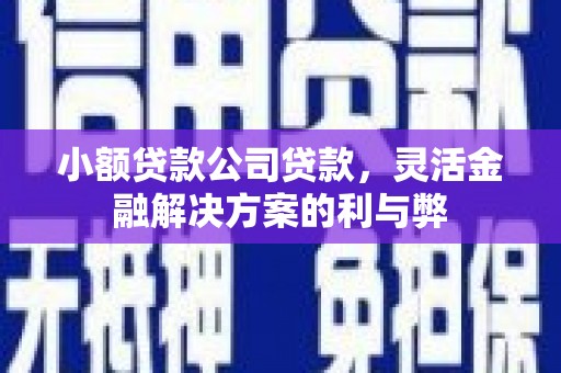 石家庄小额贷款公司贷款，灵活金融解决方案的利与弊